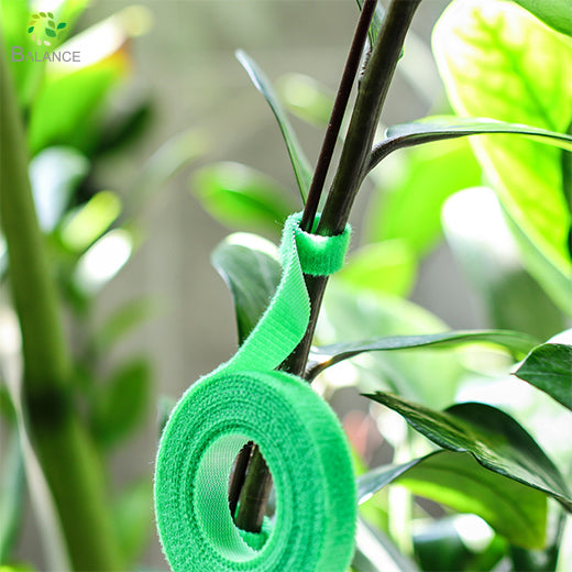 Adjustable Reusable Velcro Plant Ties Soft Garden Straps for Tomato Vine Support
